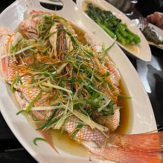 Steam Snapper (Fillet)