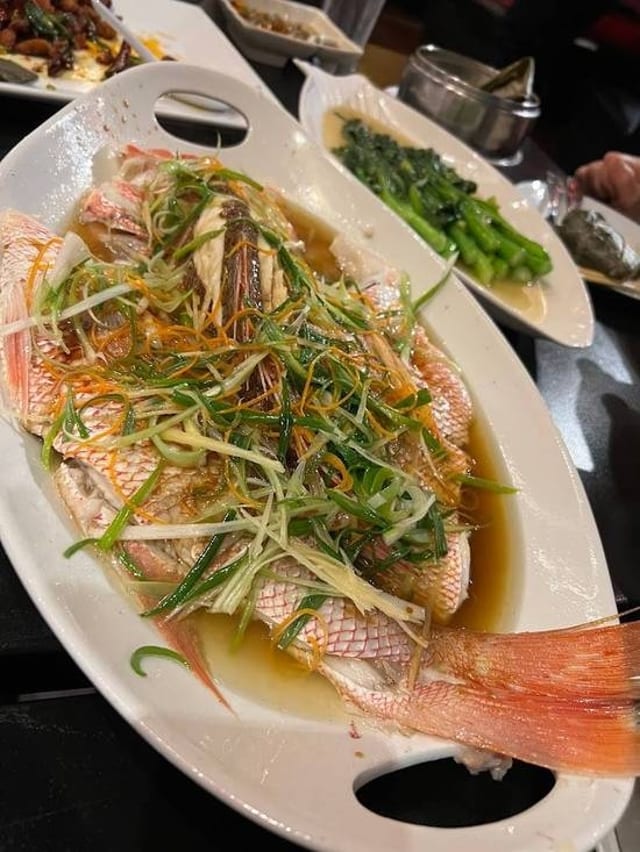 Steam Snapper (Fillet).